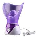 WEJI Facial Steam Cleaner