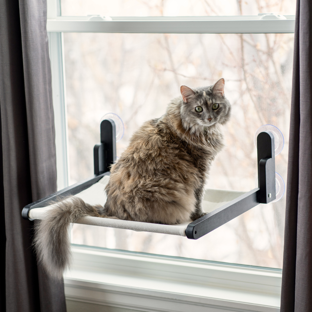 WEJI Cat Window Perch