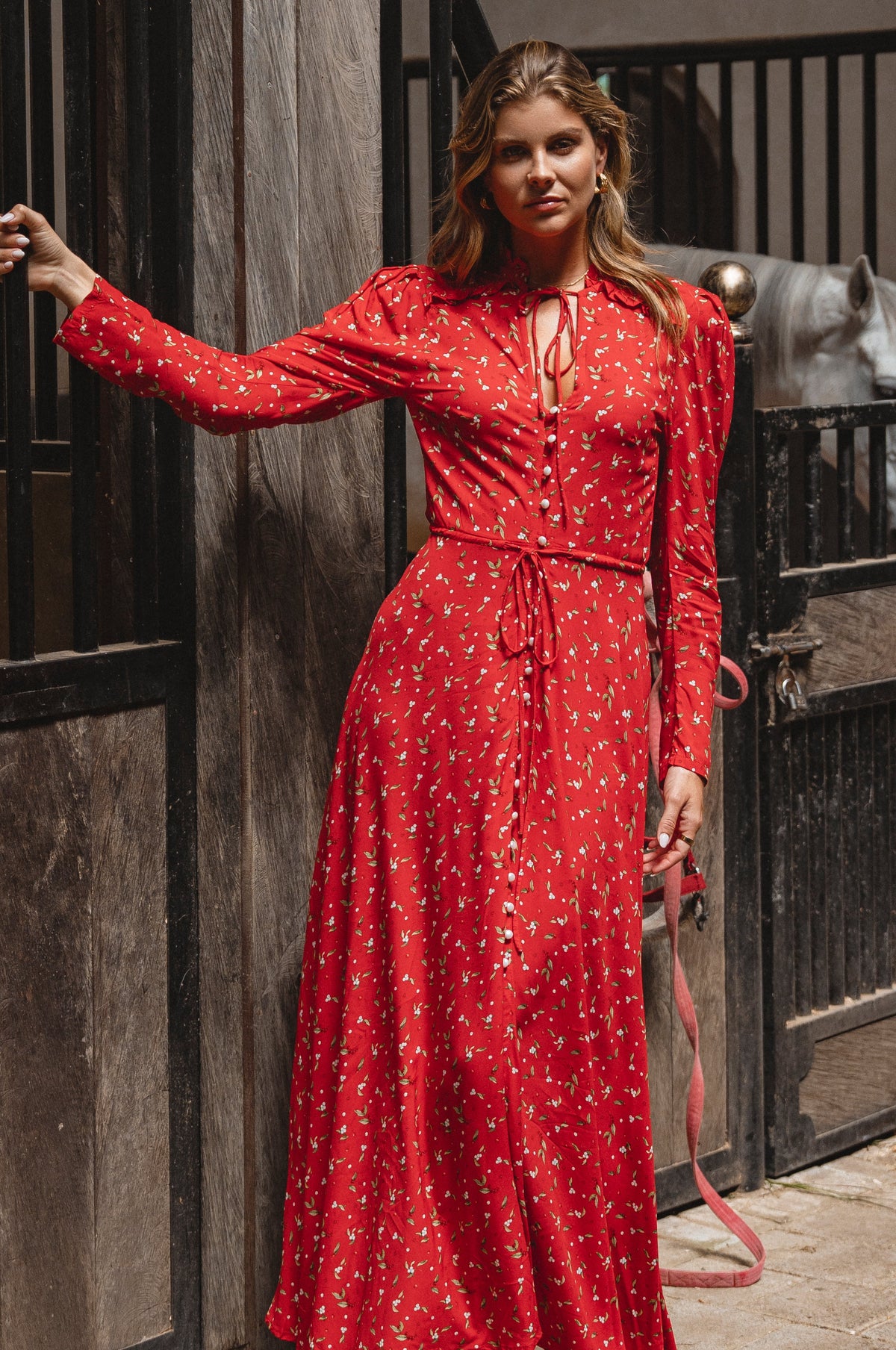 Poeme Long Sleeve Maxi Dress-0