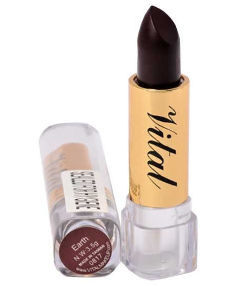 Vital Makeup Moisturizing Lipstick Earth 3.5g