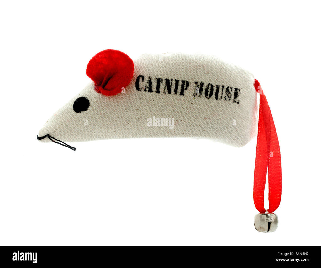 WEJI Catnip Mouse 3pc