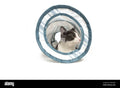 WEJI Cat Tunnel Toy