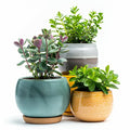 WEJI Ceramic Plant Pot Set