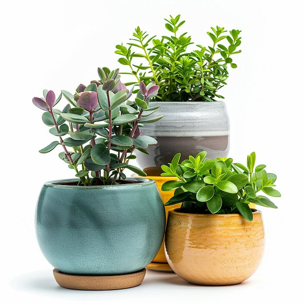 WEJI Ceramic Plant Pot Set