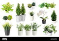 WEJI Faux Plant (small)