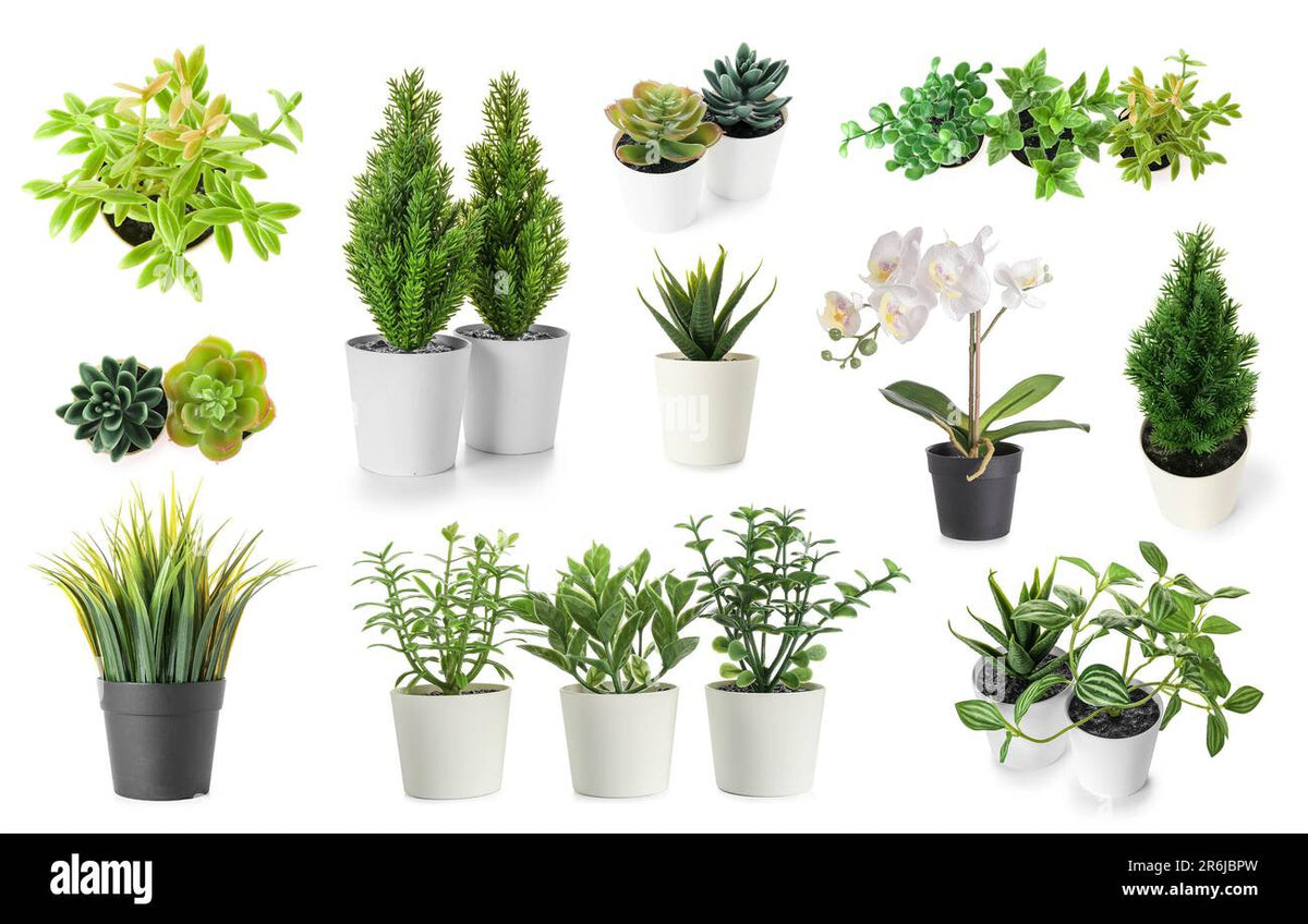 WEJI Faux Plant (small)
